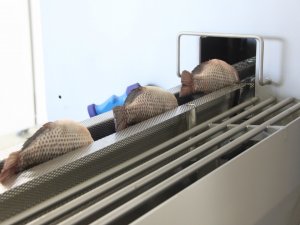 IFC 2021 - L&Iacute;DER MUNDIAL APRESENTAR&Aacute; NOVO EQUIPAMENTO PARA PROCESSAR PESCADO