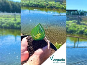 Anpario leva solu&ccedil;&otilde;es naturais e palestra internacional ao IFC Brasil 2025