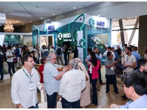 2&ordf; Rodada Internacional de Neg&oacute;cios impulsiona mercado de pescados no IFC Brasil 2024