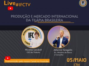 IFCTV - CEO na Tilabr&aacute;s fala sobre produ&ccedil;&atilde;o e mercado internacional da til&aacute;pia brasileira