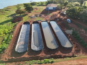 Multipesca traz tanques elevados e consultoria personalizada no IFC Brasil 2026