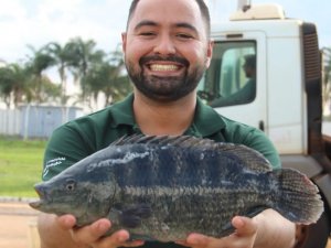 Vaxxinova participar&aacute; do International Fish Congress & Fish Expo Brasil no Paran&aacute;