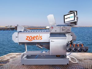 Zoetis refor&ccedil;a compromisso com aquicultura no IFC Brasil 2026
