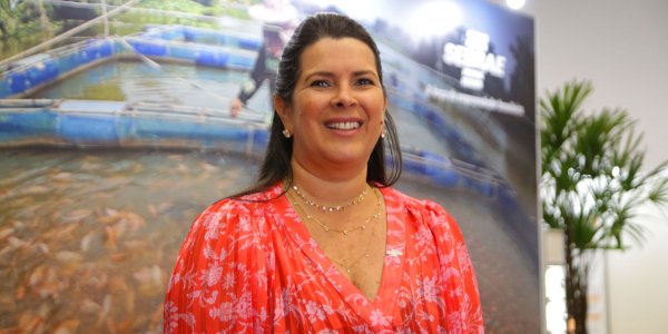 Segundo Newman Costa, especialista do Sebrae no segmento de pesca e aquicultura, os pequenos neg&oacute;cios possuem uma parcela significativa no crescimento da produ&ccedil;&atilde;o brasileira, sendo respons&aacute;veis por cerca de metade de todo o peixe produzido no Brasil. Esses criadores respondem pela produ&ccedil;&atilde;o brasileira de aproximadamente 691 mil toneladas de peixe de cultivo e movimentam cerca de R$ 4 bilh&otilde;es por ano. 