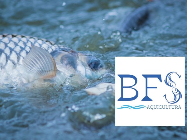 BSF Aquicultura estreia no IFC Brasil com lan&ccedil;amento de m&aacute;quina
