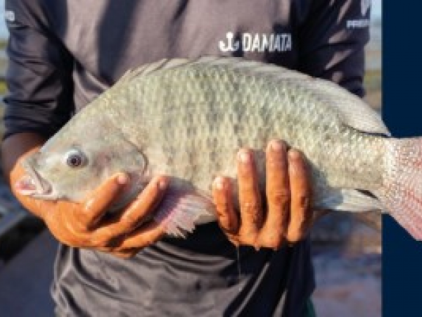 BTJ Lab lan&ccedil;a projeto inovador na Fish Expo
