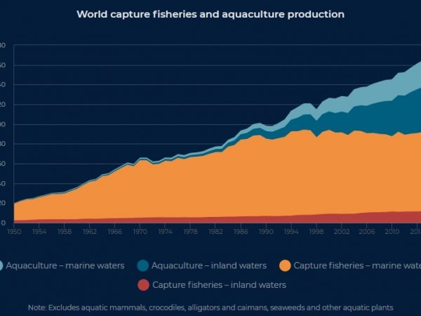 Apresenta&ccedil;&atilde;o : Pescado e Produtos da Pesca Produ&ccedil;&atilde;o, Com&eacute;rcio e Tend&ecirc;ncias