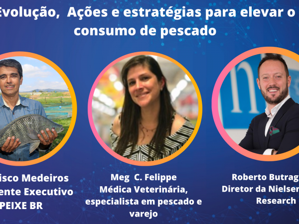 Mercado Interno de pescados: Evolu&ccedil;&atilde;o, Perfil do consumidor, a&ccedil;&otilde;es e estrat&eacute;gias