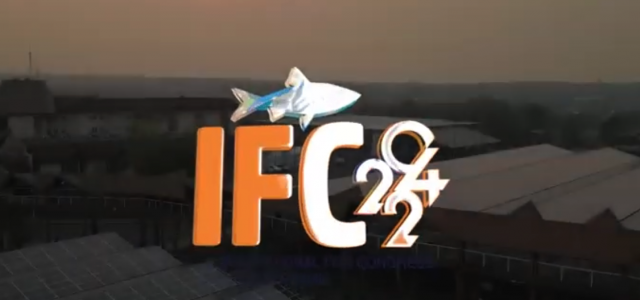 IFC 2024 - inicio
