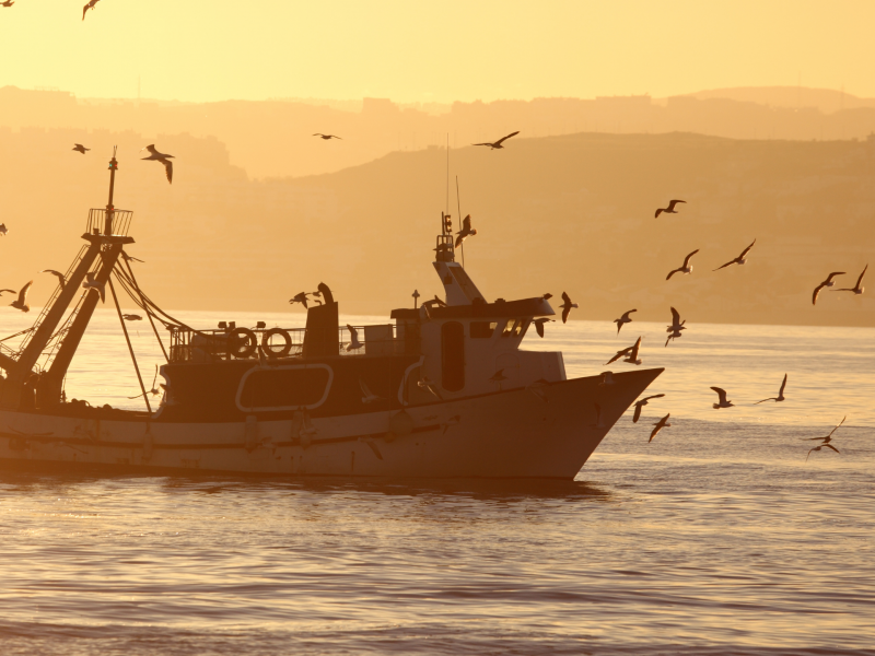 IFC divulga a programa&ccedil;&atilde;o do terceiro  Semin&aacute;rio Internacional de Pesca
