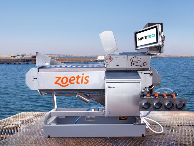Zoetis refor&ccedil;a compromisso com aquicultura no IFC Brasil 2026