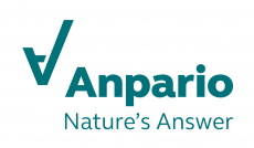 Anpario