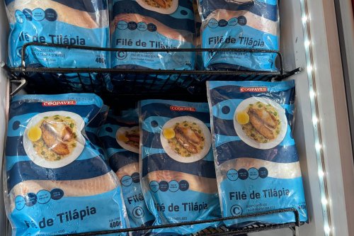 ​Coopavel entra no mercado da piscicultura com marca prpria e expanso estratgica