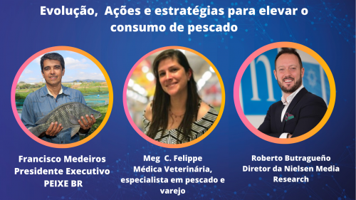 Mercado Interno de pescados: Evolu��o, Perfil do consumidor, a��es e estrat�gias